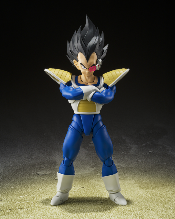 Sh figuarts Dragon Ball Z outlet Vegeta