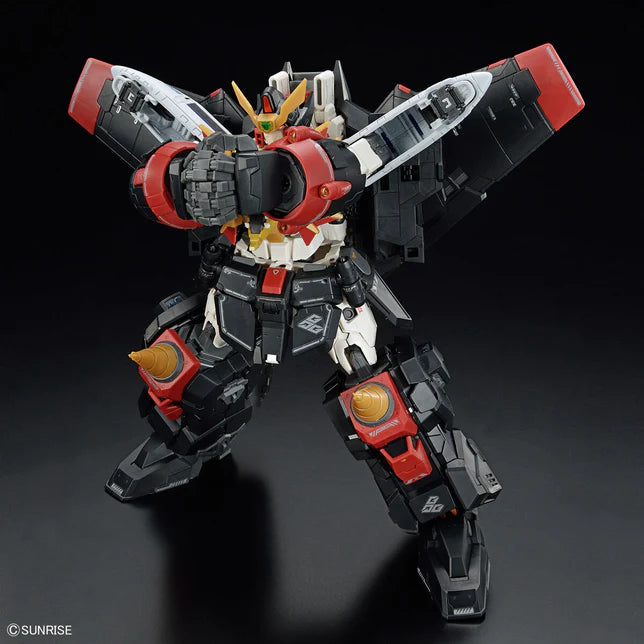 RG GAOGAIGAR 1/144