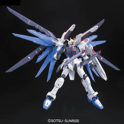 RG Freedom Gundam 1/144 #05