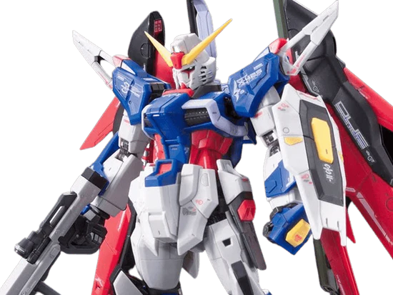 RG Destiny Gundam 1/144 #11