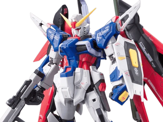 RG Destiny Gundam 1/144 #11