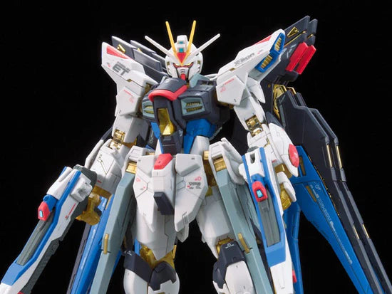 RG Strike Freedom Gundam 1/144 #14