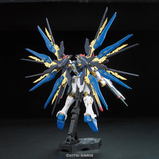 RG Strike Freedom Gundam 1/144 #14