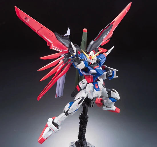 RG Destiny Gundam 1/144 #11