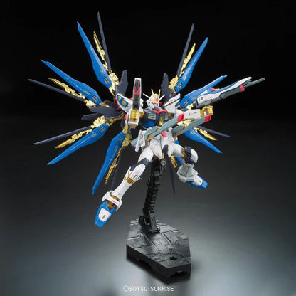 RG Strike Freedom Gundam 1/144 #14