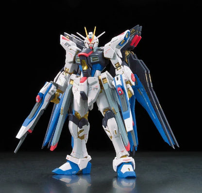 RG Strike Freedom Gundam 1/144 #14