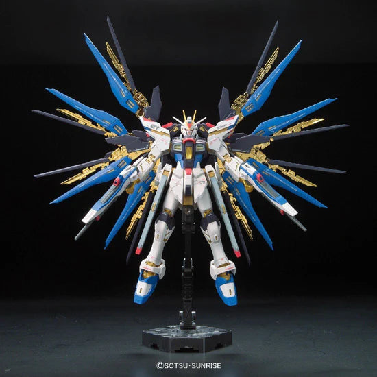 RG Strike Freedom Gundam 1/144 #14