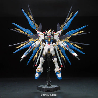 RG Strike Freedom Gundam 1/144 #14