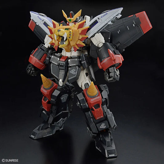 RG GAOGAIGAR 1/144