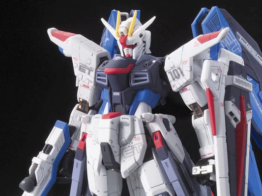 RG Freedom Gundam 1/144 #05