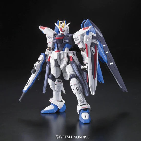 RG Freedom Gundam 1/144 #05